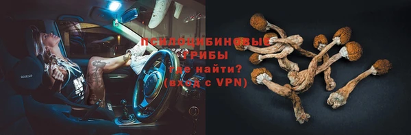 шишки Карталы