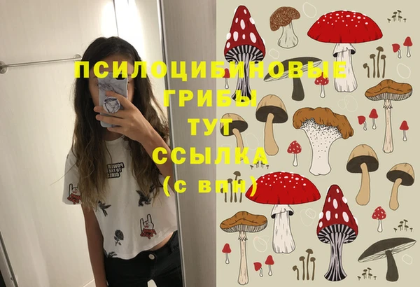 шишки Карталы