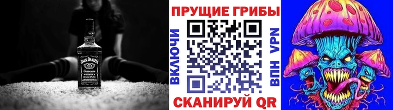 Купить где  Дыгулыбгей  Псилоцибиновые грибы Cubensis 
